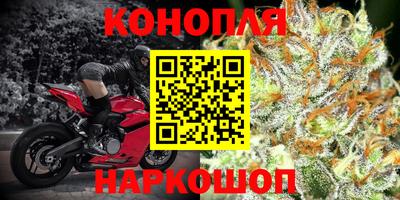 хмурый Бийск