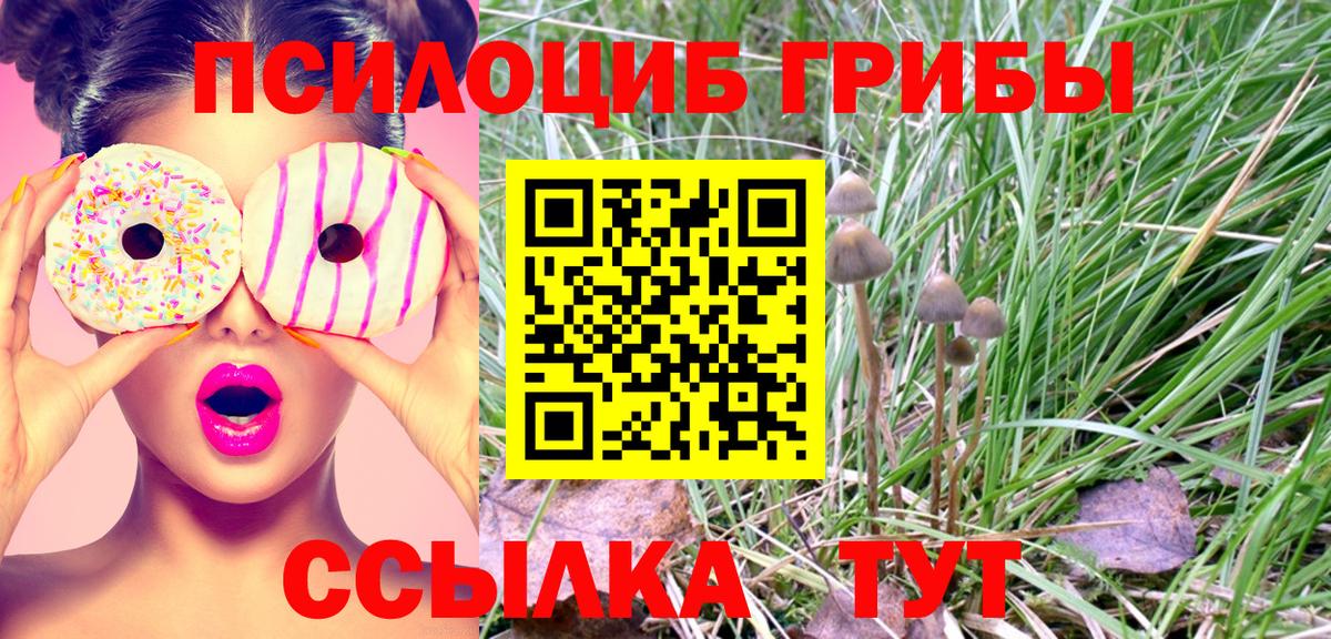 Псилоцибиновые грибы Psilocybine cubensis  Вход с VPN  Заволжье 